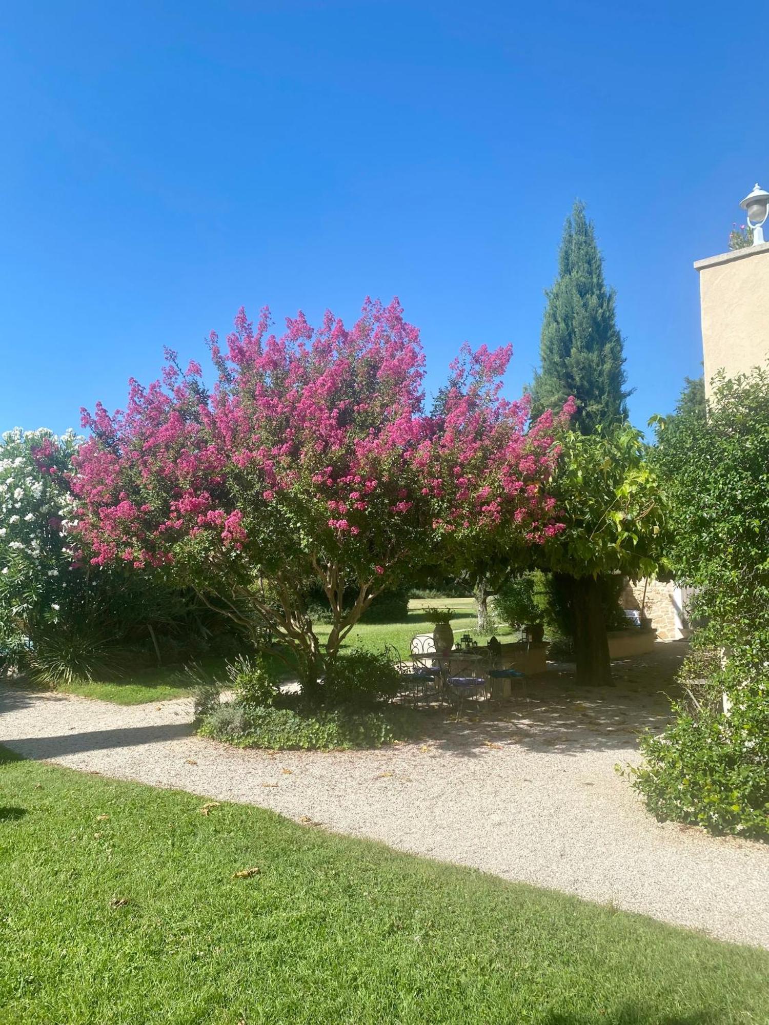 Mas Les Fleurs D'Hilaire Bed & Breakfast มงโตซ์ ภายนอก รูปภาพ